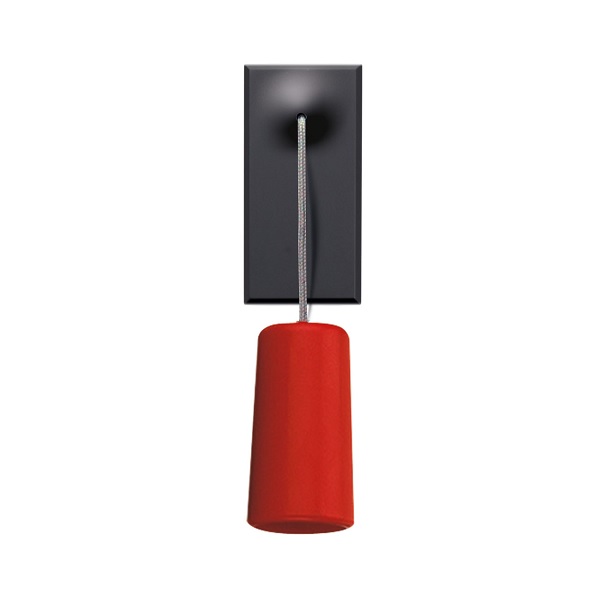 Pulsante tirante NA + NC 10A